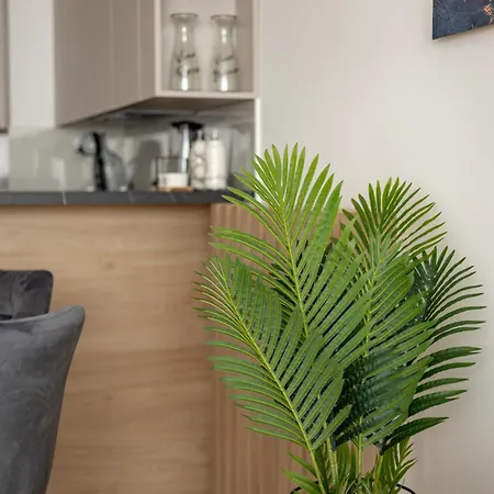 N65 Lux Apartman Belgrád